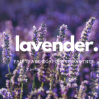 Public Photos / Files - Lavender