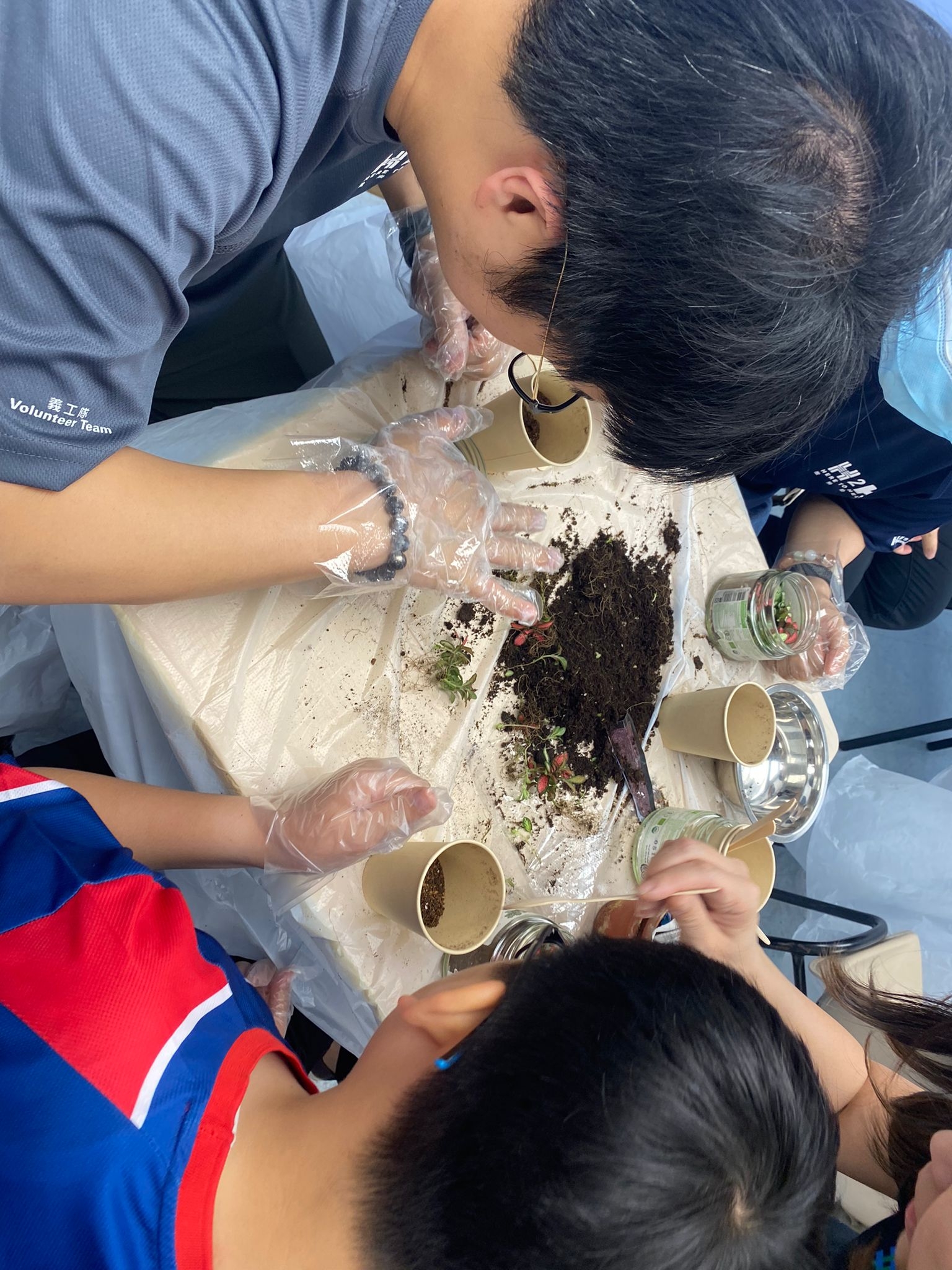 Public Photos / Files - Planting photo